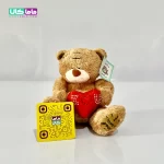 عروسک خرس میتیو قهوه ای قلب به دست 15 سانتیمتر 1 عروسک خرس میتیو قهوه ای قلب به دست 15 سانتیمتر